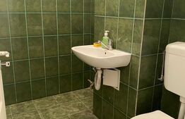 Spațiu comercial de inchiriat, 28 mp, zona Dragoș Voda