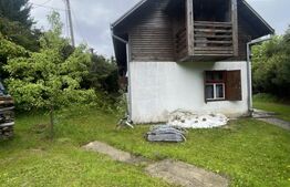 Cabana de vanzare, cu 4 camere, 100 mp, zona Colibita 