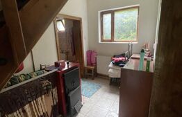 Cabana de vanzare, cu 4 camere, 100 mp, zona Colibita 