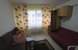 Garsonieră de vanzare, 22 mp, zona Independentei