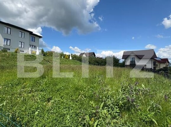 Teren de vânzare Sud - 171403TV | BLITZ Bistriţa | Poza3