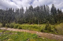 🏠 Casă finisată, 4 camere, 2 băi – ideală pentru cei care iubesc natura!