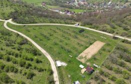  Teren extravilan de vânzare, 4.854 mp, zona nord-vest