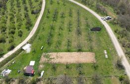 Teren extravilan de vânzare, 4.854 mp, zona nord-vest