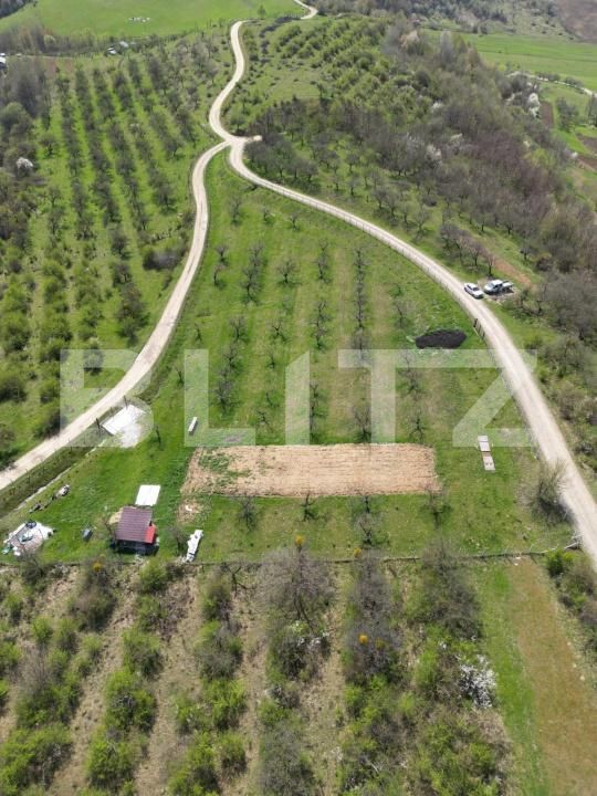 Teren de vânzare Nord-Vest - 171407TV | BLITZ Bistriţa | Poza2