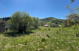 Teren de 30 ari de vânzare în Bistrița Bârgăului – zonă pitorească, ideală 