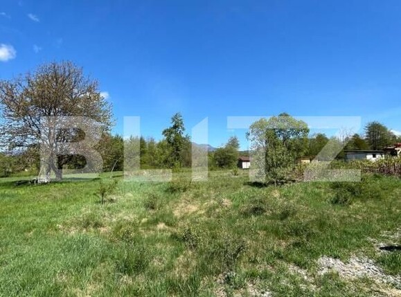 Teren de vânzare Bistrita Bargaului - 171443TV | BLITZ Bistriţa | Poza3