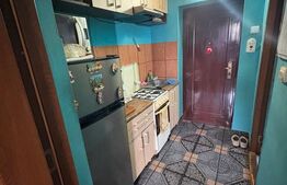 Garsoniera de vanzare, 20 mp, zona Gara
