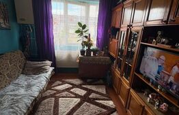 Garsoniera de vanzare, 20 mp, zona Gara