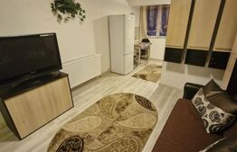 Garsonieră de vanzare, Dragos Voda