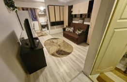 Garsonieră de vanzare, Dragos Voda