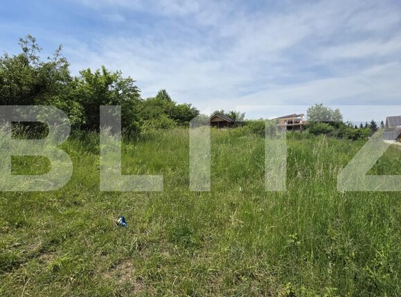 Teren de vânzare Sud - 171513TV | BLITZ Bistriţa | Poza4