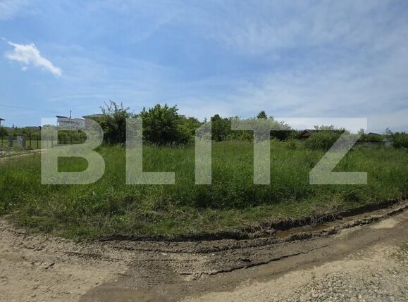 Teren de vânzare Sud - 171513TV | BLITZ Bistriţa | Poza3