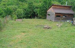 Teren intravilan, de vanzare, 1250 mp+ cabana, zona Valea Ghinzi