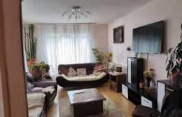 Casa cu 6 camere, 270 mp , 375 mp teren, zona Valea Ghinzii