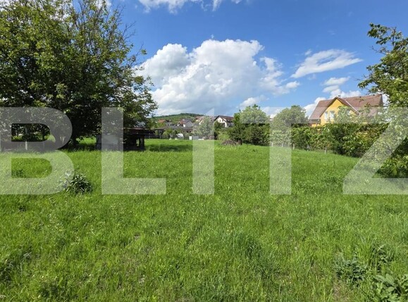 Teren de vânzare Centura - 171675TV | BLITZ Bistriţa | Poza1