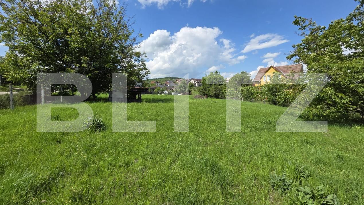 Teren de vânzare Centura - 171675TV | BLITZ Bistriţa | Poza1