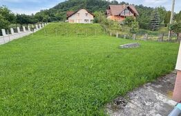 Casa de vanzare, cu 4 camere, 180 mp 1300mp teren Valea Ghinzii