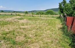 Casa parter, 120 mp, teren 1000 mp, la 25 km de orasul Bistrita