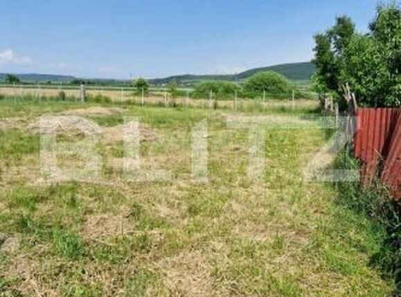 Casa de vânzare 3 camere Sintereag - 171801CV | BLITZ Bistriţa | Poza4