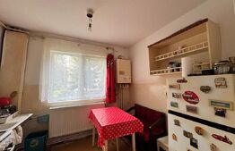 Apartament cu 2 camere, central, parter, 50mp