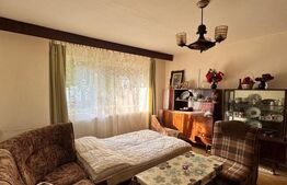 Apartament cu 2 camere, central, parter, 50mp, semidecomandat