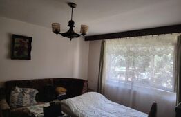 Apartament cu 2 camere, central, parter, 50mp, semidecomandat