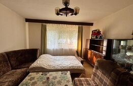 Apartament cu 2 camere, central, parter, 50mp