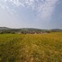Teren de vânzare Est - 171964TV - Poza 1 din 8 | BLITZ Bistriţa | Poza3