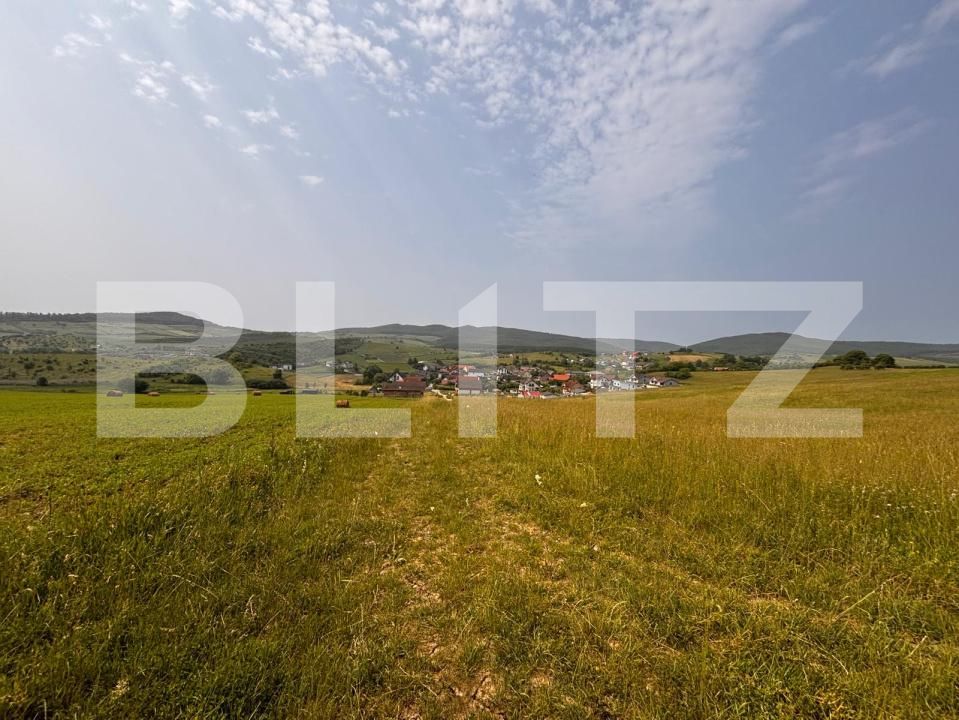 Teren de vânzare Est - 171964TV | BLITZ Bistriţa | Poza4