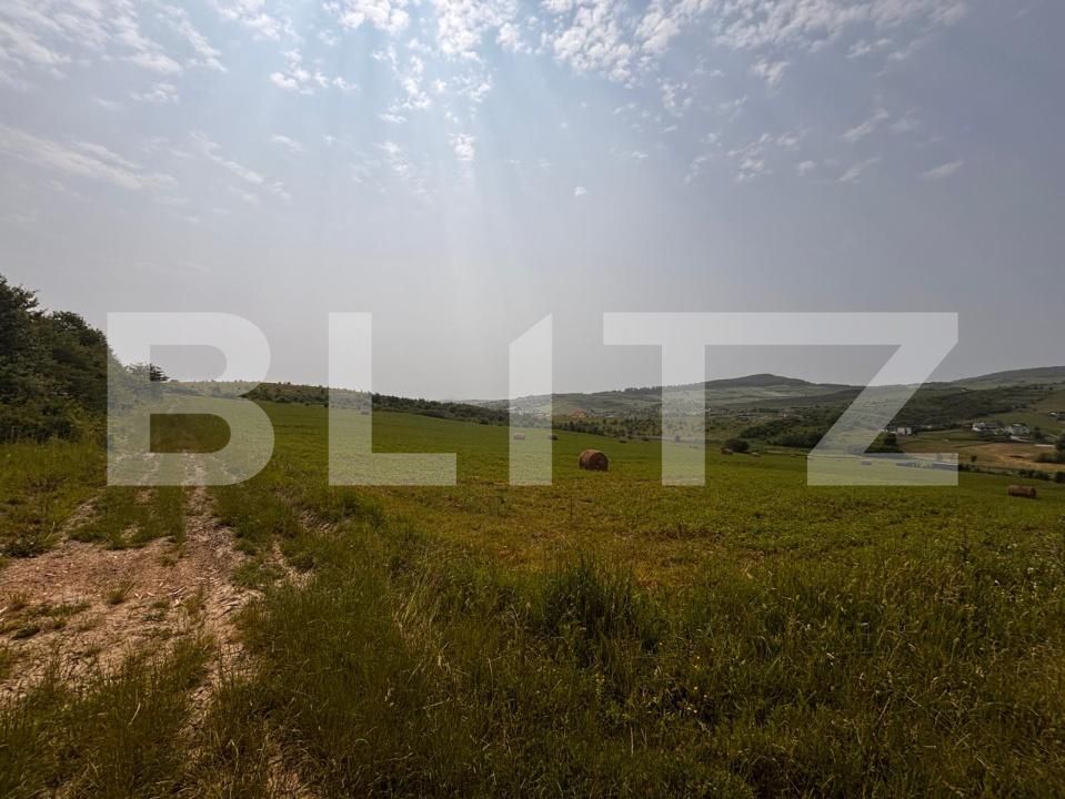 Teren de vânzare Est - 171964TV | BLITZ Bistriţa | Poza3