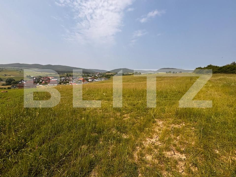 Teren de vânzare Est - 171964TV | BLITZ Bistriţa | Poza7