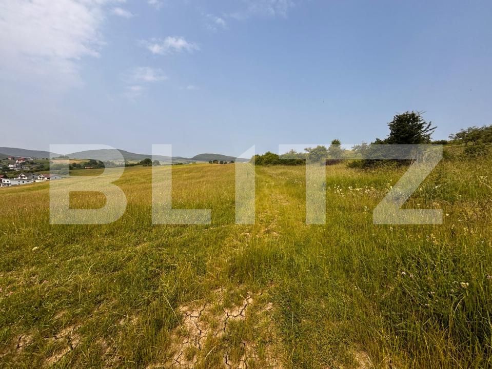 Teren de vânzare Est - 171964TV | BLITZ Bistriţa | Poza8