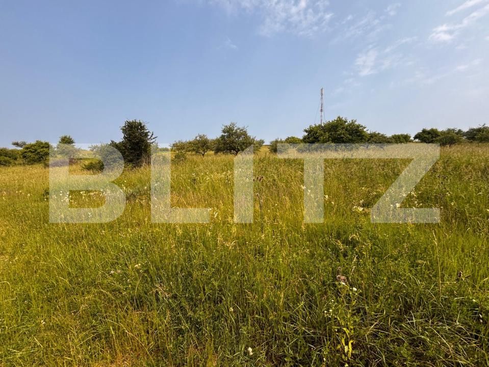 Teren de vânzare Est - 171964TV | BLITZ Bistriţa | Poza1