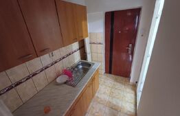 Garsoniera de vanzare, 17 mp, zona Centrala 