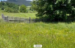 Teren Intravilan Colibita 1346mp cu Panorama asupra lacului Colibita 