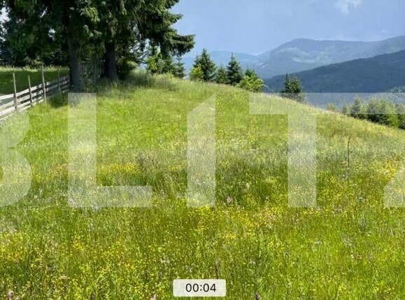 Teren de vânzare Colibiţa - 172142TV | BLITZ Bistriţa | Poza4