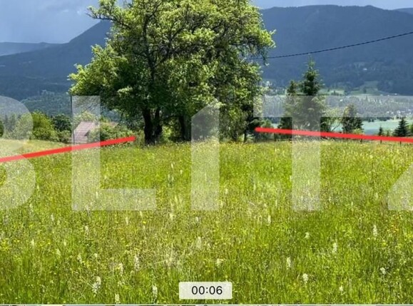 Teren de vânzare Colibiţa - 172142TV | BLITZ Bistriţa | Poza3