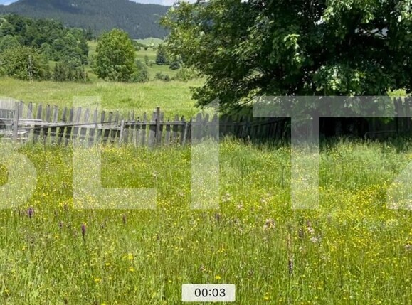 Teren de vânzare Colibiţa - 172142TV | BLITZ Bistriţa | Poza5