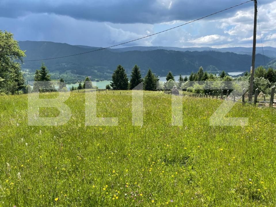 Teren de vânzare Colibiţa - 172142TV | BLITZ Bistriţa | Poza1