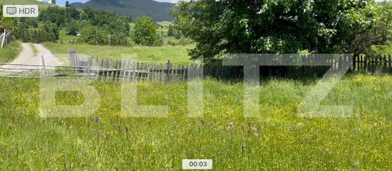 Teren de vânzare Colibiţa - 172142TV | BLITZ Bistriţa | Poza5