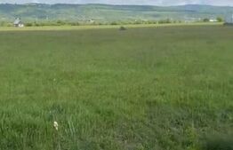 Teren de vânzare Vest - 148426TV | BLITZ Bistriţa | Poza1