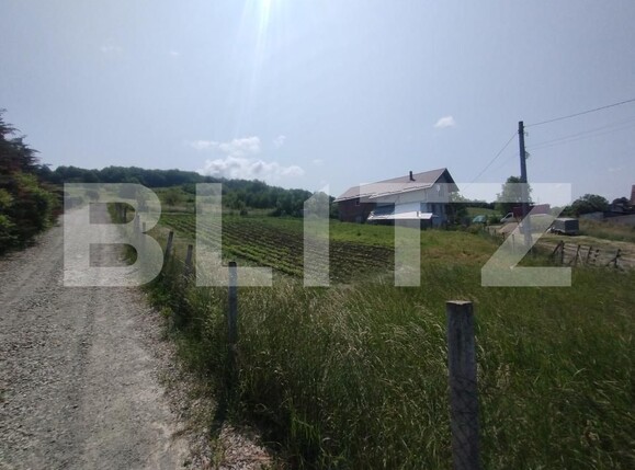 Teren de vânzare Centura - 172205TV | BLITZ Bistriţa | Poza2