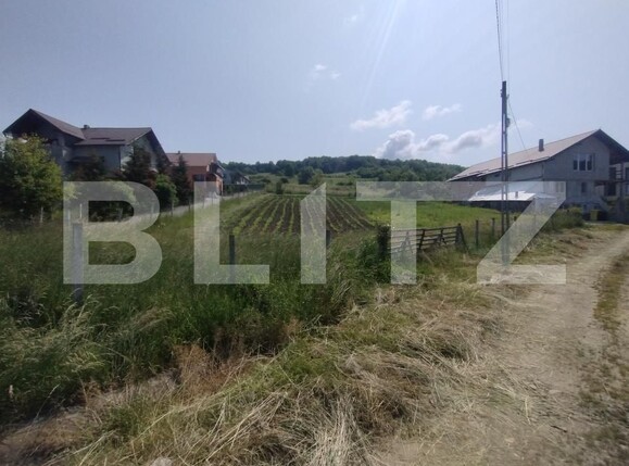 Teren de vânzare Centura - 172205TV | BLITZ Bistriţa | Poza1