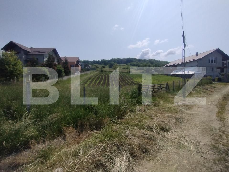 Teren de vânzare Centura - 172205TV | BLITZ Bistriţa | Poza4