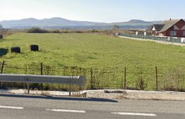 Teren intravilan de vanzare, 7000 mp, DN 17, zona Podirei
