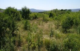 Teren intravilan de vanzare, 7000 mp, DN 17, zona Podirei