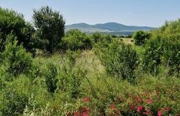 Teren intravilan de vanzare, 7000 mp, DN 17, zona Podirei