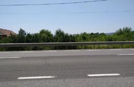 Teren intravilan de vanzare, 7000 mp, DN 17, zona Podirei