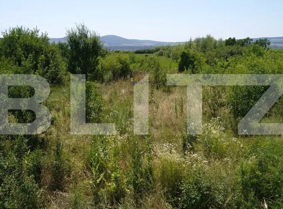 Teren de vânzare Sud - 172273TV | BLITZ Bistriţa | Poza3